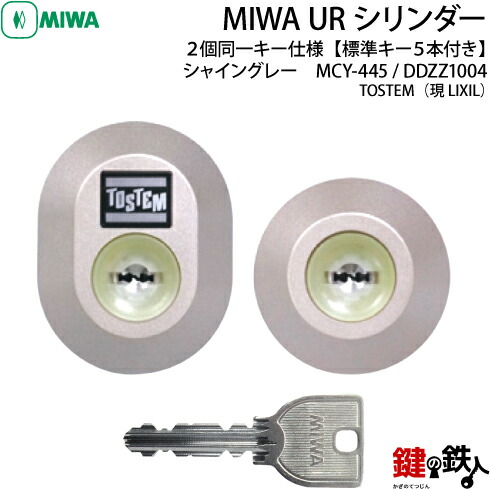 ダンシャリ子 スリクソン ZXi4 アイアン Diamana ZXi for IRON