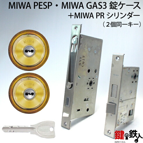 img1_pesp-gas3-pr_gd.jpg