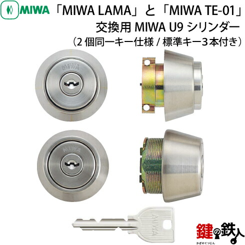 lama_te01_u9-1.jpg