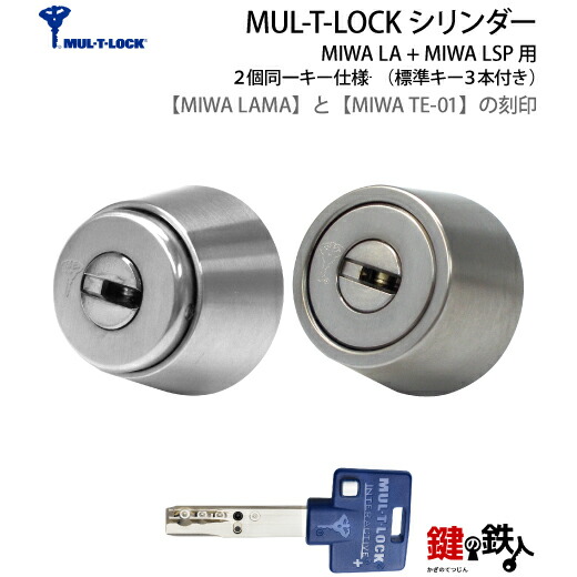 【miwa】 ラボプラス 2点セット 楽天市場】【6】MIWA LAMA(LA・DA)とMIWA TE-02(LSP)の交換用高性能MUL