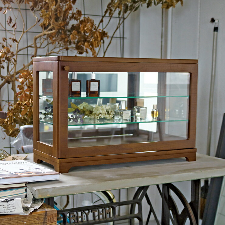 楽天市場】コレクションケース おしゃれ 薄型 縦型 置き型 壁掛け