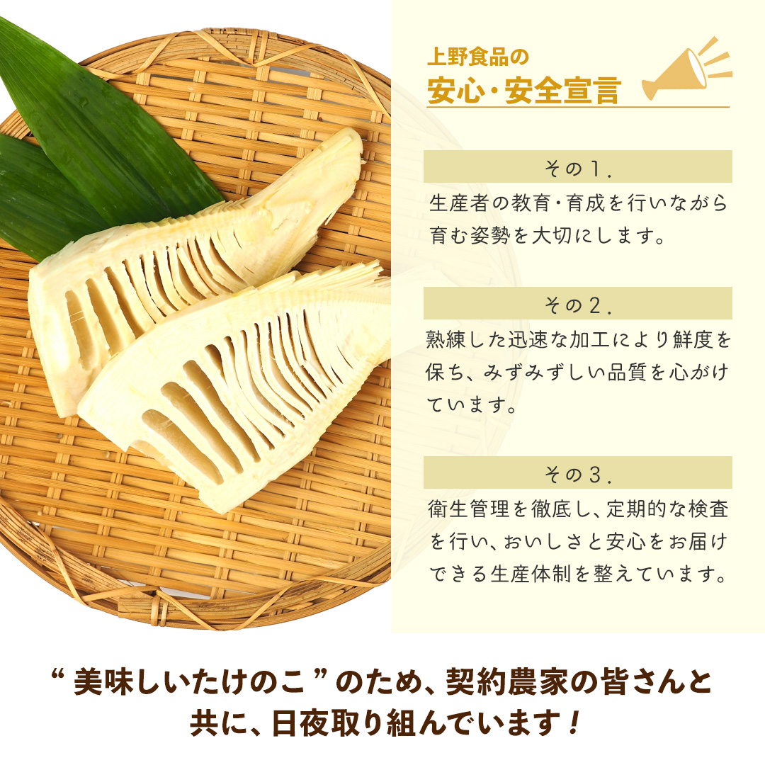 市場 九州産産 1kg 水煮 筍 たけのこ 竹の子 上野食品