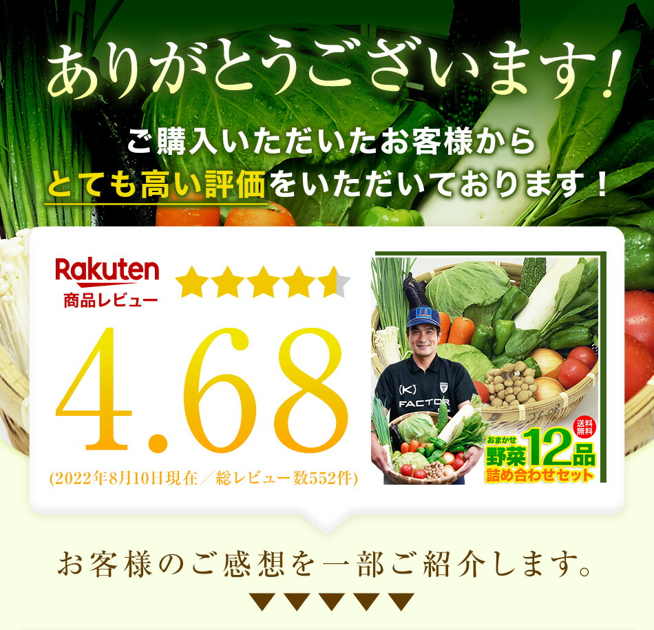 新品送料無料 野菜セット 10-12品 九州野菜 西日本 九州 送料無料