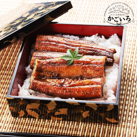 真地焼きうなぎ蒲焼155g×2尾セット＜鯉家＞