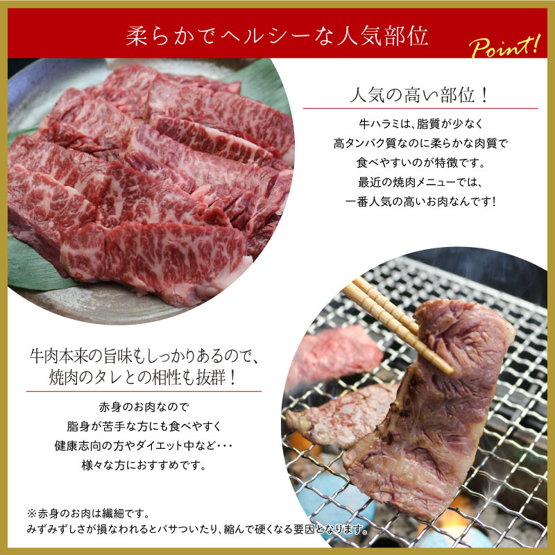 国産牛ハラミ焼肉 300g ▽国産 国産牛 牛肉 焼肉 焼き肉 鉄板焼 BBQ バーベキュー スライス あす楽 新商品