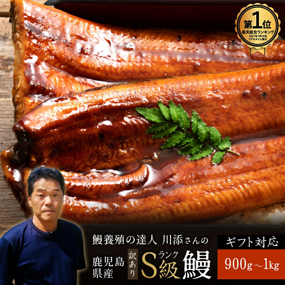 【\ふわとろっ/楽天1位！川添さんの鹿児島県産最上級訳ありうなぎ】[無頭うなぎ][関東風]テレビの絶品お取り寄せグルメで紹介 全国送料無料[Sランクうなぎ]最大15ヶ月待ちになった訳あり鰻[ギフト][国産うなぎ]蒲焼き訳アリ品900g~1kg 土用の丑の日 敬老の日 父の日 母の日