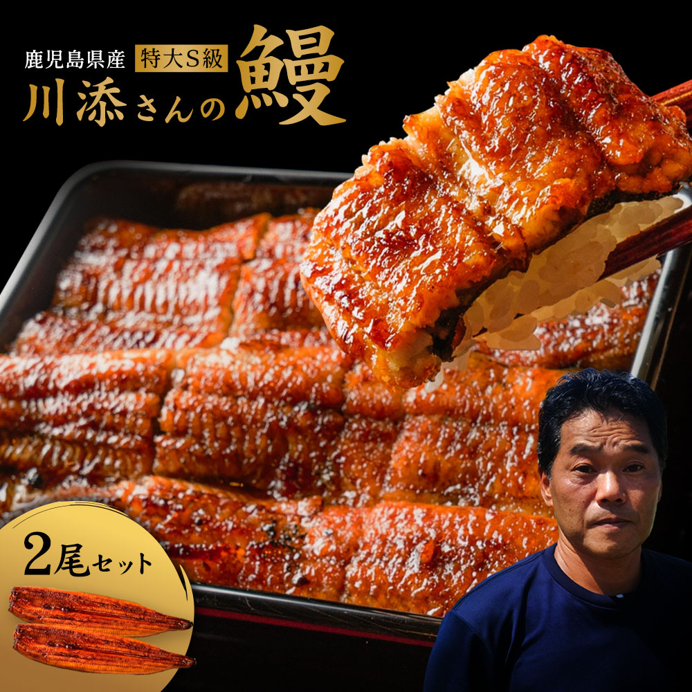 【1000円OFFクーポン配布中】【テレビで話題！食通有名人絶賛のふわふわ最高級鹿児島県産うなぎ蒲焼き】生産者直営鰻専門店うなぎ仁監修【川添さんのS級うなぎ】特大2尾入り 合計350g超  国産 鰻 蒲焼き ギフト お中元 お歳暮 母の日 父の日 敬老の日 無料ギフト包装 お祝い
