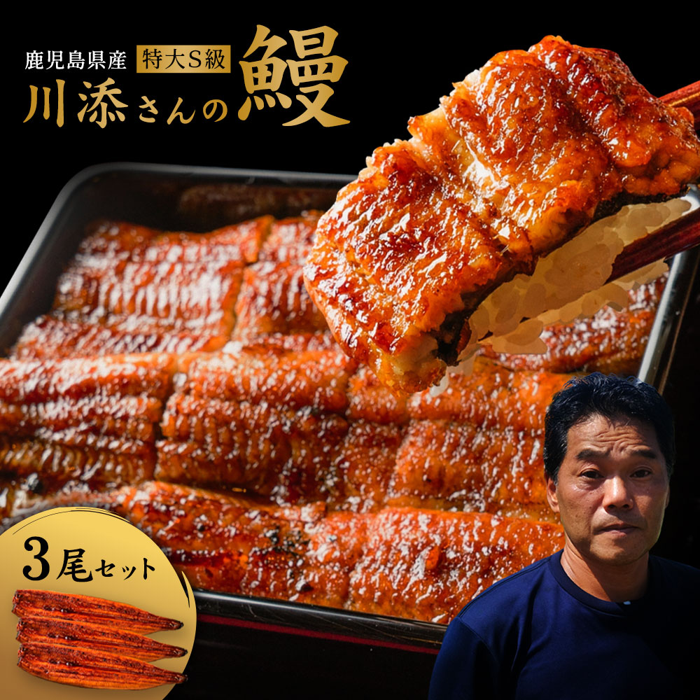 【1000円OFFクーポン配布中】【テレビで話題！食通有名人絶賛のふわふわ最高級鹿児島県産うなぎ蒲焼き】生産者直営鰻専門店うなぎ仁監修【川添さんのS級うなぎ】特大3尾入り 合計525g超  国産 鰻 蒲焼き ギフト お中元 お歳暮 母の日 父の日 敬老の日 無料ギフト包装 お祝い