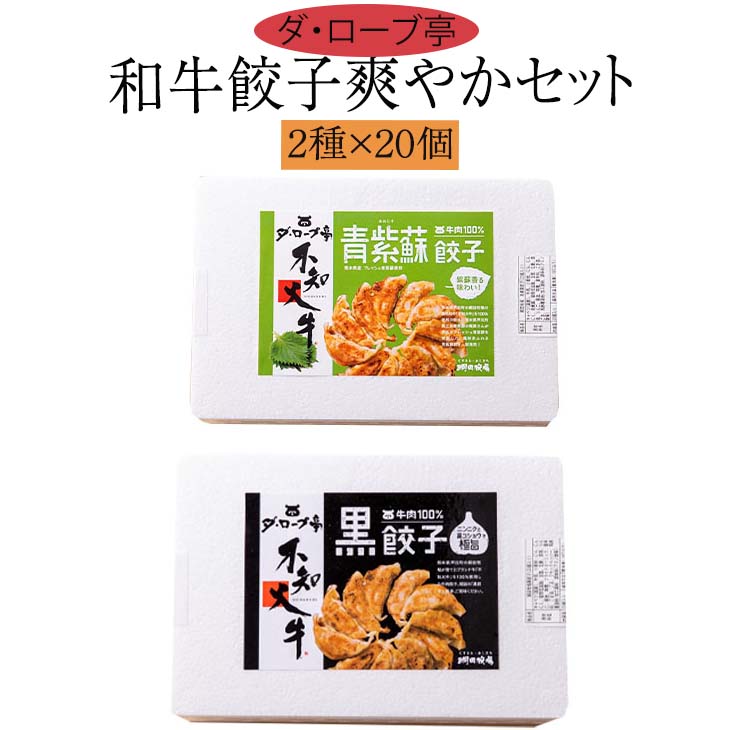 楽天市場】カリもちっ餃子 100個【送料無料チルド代込み】熊本県