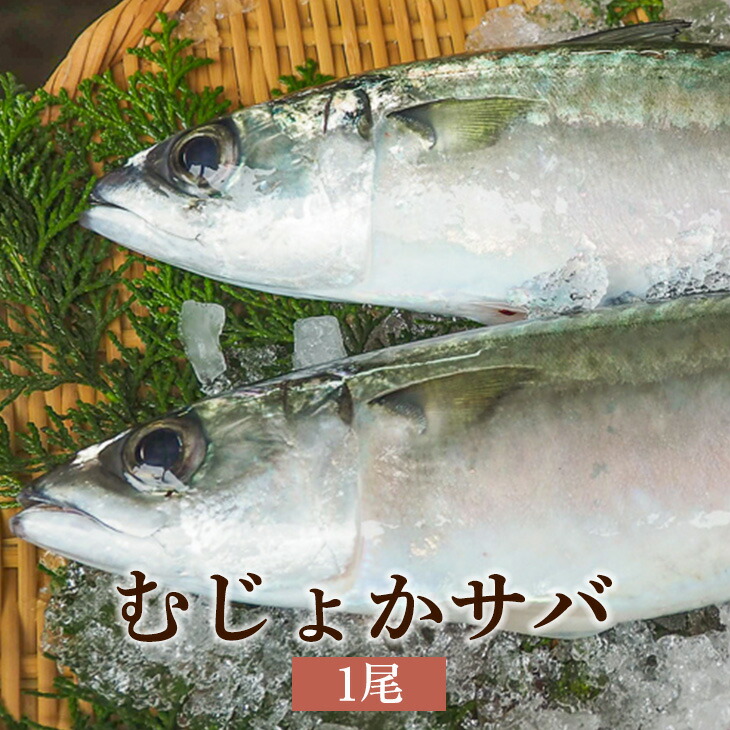 楽天市場】海産物 干物 薩摩の灰干し さば [3切100g]×4 セット 送料無料 無添加 サバ 鯖 鹿児島県産 冷凍 熟成 骨取り 魚介類  お取り寄せ 国産 浜上水産 かごしまや : 鹿児島の食べ物等の通販かごしまや