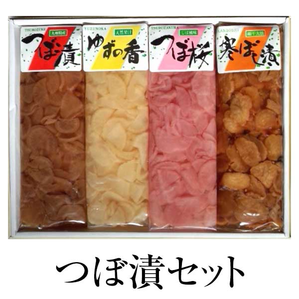 楽天市場】漬物 お取り寄せ 鹿児島 南国風味（小）570g×3セット 食品 詰め合わせ ギフト 内祝い 父の日 母の日 お中元 敬老の日 お祝い  お中元 お歳暮 お茶請け ごはんのお供 藤崎商事株式会社 かごしまや : 鹿児島の食べ物等の通販かごしまや