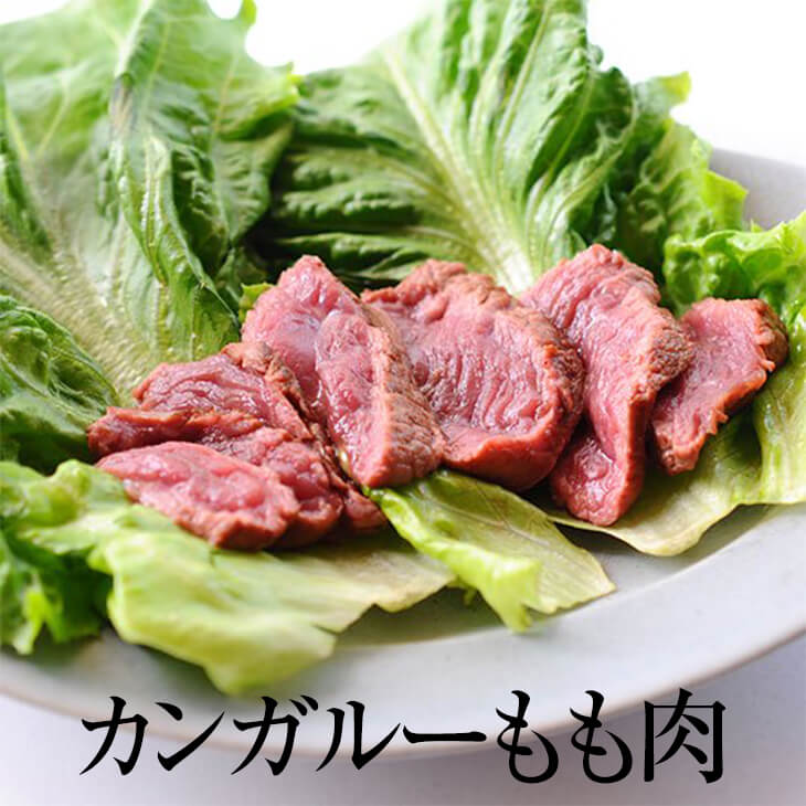 カンガルー もも肉 加熱用 50g × 5パック 肉 モモ肉 宅飲み 惣菜 冷凍 おつまみ セット バーベキュー ギフト プレゼント 送料無料 サンシャインミート タビグルメ