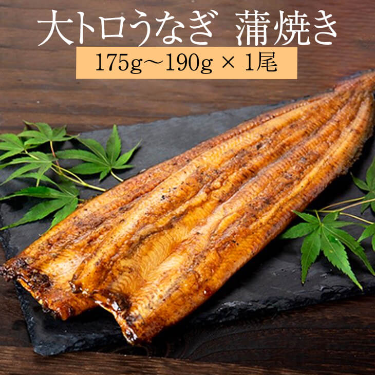 【 大トロ うなぎ 鰻 蒲焼き 国産 175g～190g × 2尾 4尾 】冷凍 鹿児島 ウナギ ギフト プレゼント 鯉家 タビグルメ
