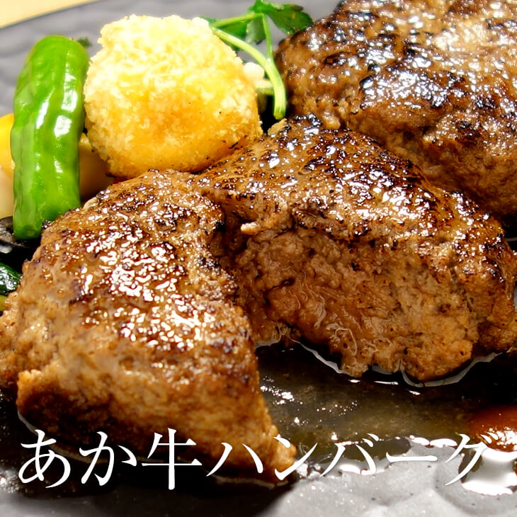 食べ物 ギフト 2025 あか牛 ハンバーグ 120g×24個 セット 大容量 熊本 お肉 肉 冷凍 高級 絶品 国産和牛 和牛 小分け 個包装 お中元 お祝い 贈り物 プレゼント お取り寄せ グルメ 送料無料 三協畜産 タビグルメ