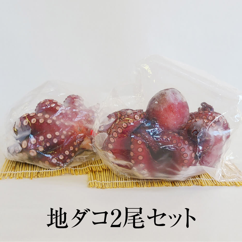 たこ 地ダコ2尾セット 長崎産 国産 冷凍 ギフト ギフトセット プレゼント 送料無料 丸政水産 タビグルメ