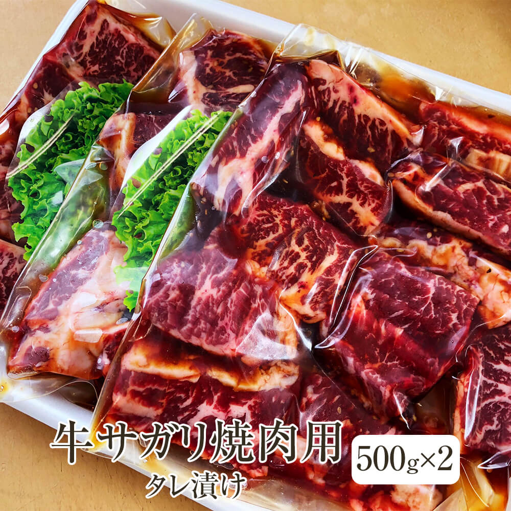 商品確認用 ダニエル ZX-14R/カワサキの新車・中古バイクを探すなら｜ウェビック