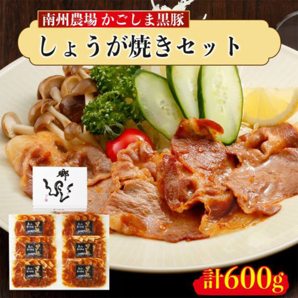 黒豚生姜焼きセット（6個入） 100g×6 冷凍 贈答 鹿児島 お歳暮 南州農場株式会社 タビグルメ