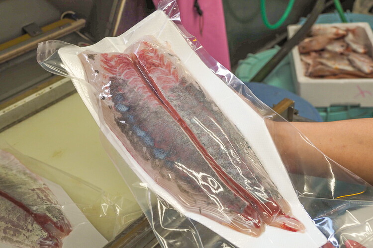 鹿児島県産養殖鰤 1尾 3.5～4.0kg 鰤 ぶり 養殖ぶり 活魚 鮮魚 活け締め 神経抜き カット加工 真空パック 長島 東町漁協 鹿児島県産 魚介類 お取り寄せ 国産 さるがく水産 タビグルメ