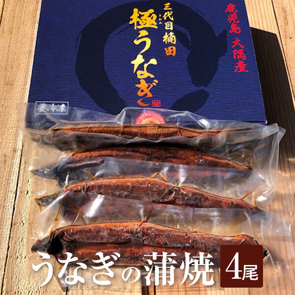 うなぎの蒲焼 4尾 うなぎ 鰻 国産 鹿児島産 蒲焼き ギフト 出水田鮮魚店 鹿児島や