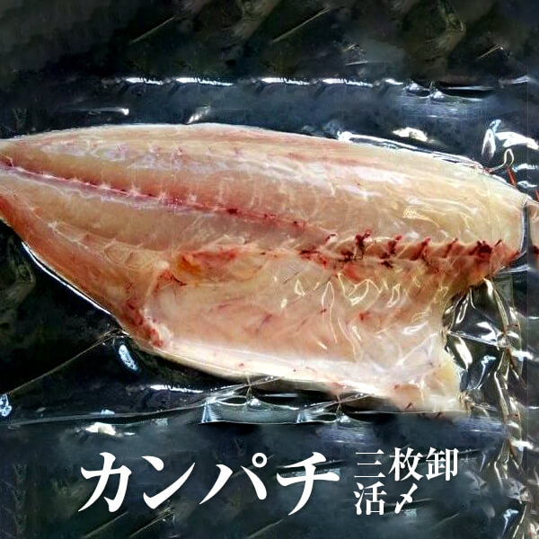 カンパチ 三枚卸 活〆 刺身 鮮魚 直送 鹿児島産 真空包装 冷蔵 出水田鮮魚 かごしまや その日に獲れた新鮮なものを その日のうちに発送 刺身で食べていただくと最高です 鮮魚 直送 冷蔵 鹿児島産 お問い合わせ対応させて頂く場合もございま Volleybalcluboegstgeest Nl