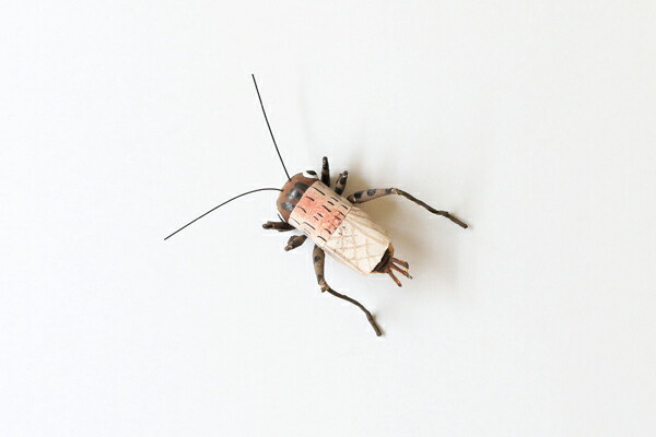 楽天市場 ２個セット 昆虫模型 こおろぎ 約 全長5cm 胴体2 7cm 高さ1 5cm かごや