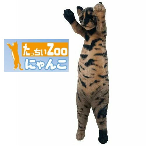 三毛猫仔猫（プロフ必読）ぬい服 楽天市場】【ぬいぐるみ】たっちぃZOOにゃんこ三毛猫 /ねこ雑貨