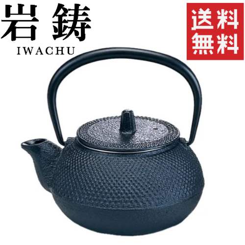 【送料無料】IWACHU 岩鋳 新アラレ 鉄瓶 300ml（10021 鉄瓶兼用急須 貧血防止 鉄分補給 白湯 湯冷まし ステンレス茶こし付 直火OK）南部鉄器