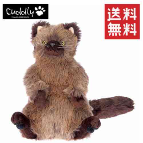 【貨物輸送無料】Cuddly (カドリー）Pascal 【smtb-TD】【tohoku】