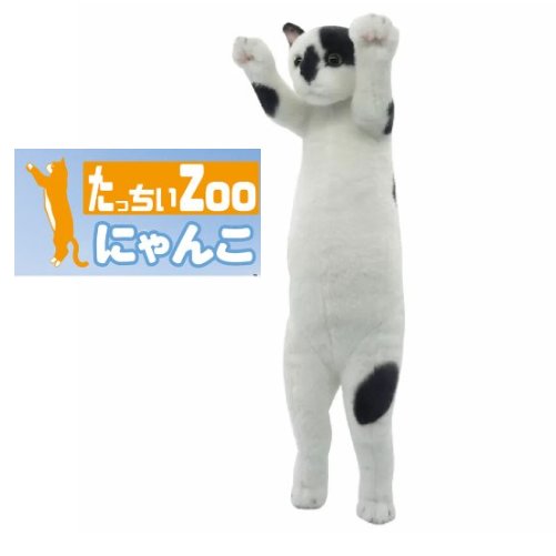 楽天市場】【ぬいぐるみ】たっちぃZOOにゃんこ三毛猫 /ねこ雑貨 : 家具倶楽部