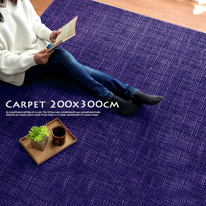 ラグマット おしゃれ 北欧 200&times;300 厚手 夏用 冬用 オールシーズン 3畳 ブラウン グリーン オレンジ レッド ネイビー ベージュ 正方形 珊瑚マイヤ&mdash; 針抜 じゅうたん 絨毯｜ジャスト インテリア