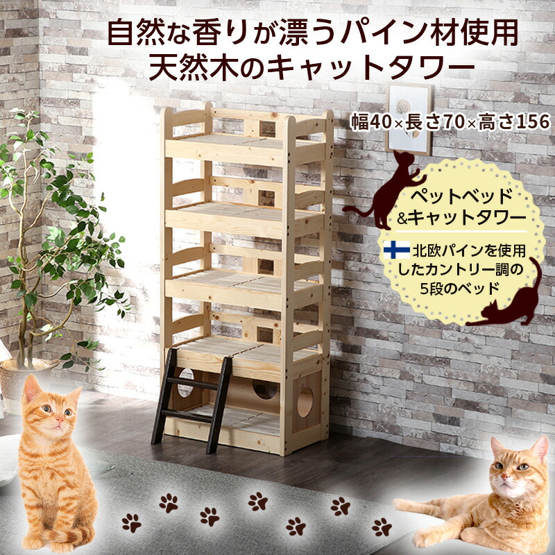 楽天市場】先着10%クーポン 19日20時☆ ペットベッド キャット
