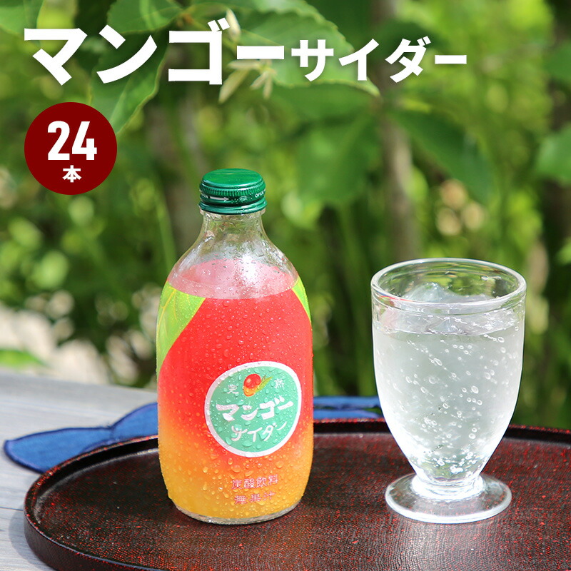 楽天市場】27日までpt5倍＋クーポン☆ 純水使用 強炭酸 ジンジャーエール 500ml 24本 ジンジャーエール ジンジャー まとめ買い ケース買い  セット ジュース 炭酸 サイダー ペットボトル 500ミリ お中元 お歳暮 ギフト プレゼント 贈り物 佐賀 友桝飲料 飲み物 飲料 : 家具RUSH