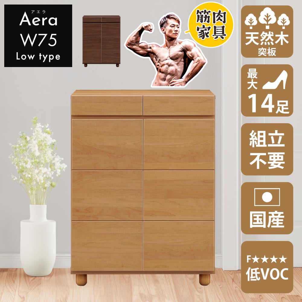 ☆12日限定12%OFFクーポン！ [4/12 0:00 ～23:59]☆ シューズボックス　おしゃれ　玄関　【14足収納】　幅100cm　104L　日本国産　大川家具　靴　収納　ロータイプ　整理　木目調　木　突板　アルダー　ブラウン　アジャスター　ソフトクローズ蝶番　静かに閉まる　耐