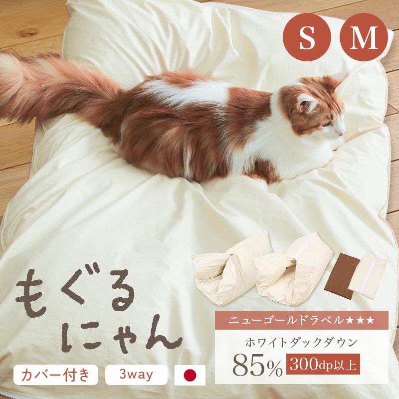 猫　ペット　ベッド　寝床　布団　愛猫　部屋　新品　簡単 Amazon.co.jp: FANXX 猫 ベッド 猫用 ふとん クッション 枕付き