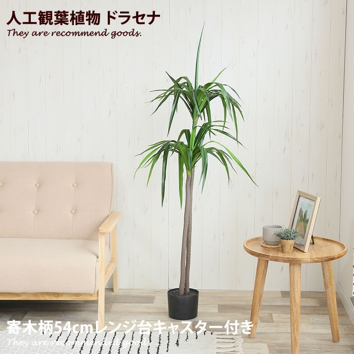 フェイクグリーン ドラセナ 観葉植物 植物 緑 グリーン 癒し 植木 おしゃれ ガーデニング ガーデン カフェ リビング プランター ギフト プレゼント 贈り物 モダン オフィス 居間 会社 枯れない 簡単 手入れ 人気 最新