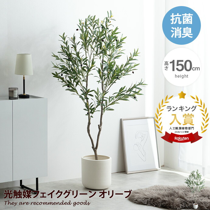 【クーポンで15％OFF! 4/18 0:00~23:59まで★】Nature ナチュレ 観葉植物 オリーブ フェイクグリーン 人工 室内 リビング オフィス 一人暮らし 緑 光触媒 空気清浄 消臭 抗菌 防汚 ホルムアルデヒド分解 高さ150cm 造花 植木 鉢植え 観賞用