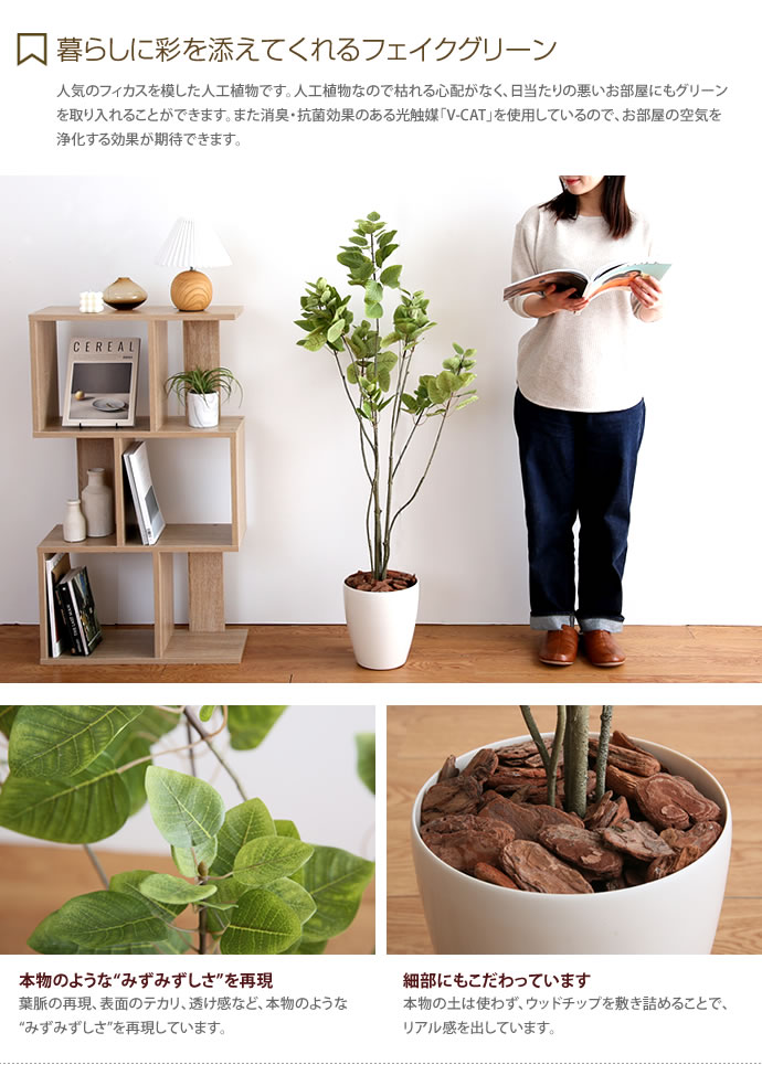 本店は 楽天市場 人工観葉植物 フェイクグリーン 高さ1 3m 人工植物 光触媒 インテリアグリーン 造花 インテリア おしゃれ フィカス 消臭 抗菌 V Cat グリーン お家で過ごす おうち時間 家具350 インテリア家具 雑貨 国産 Www Lexusoman Com