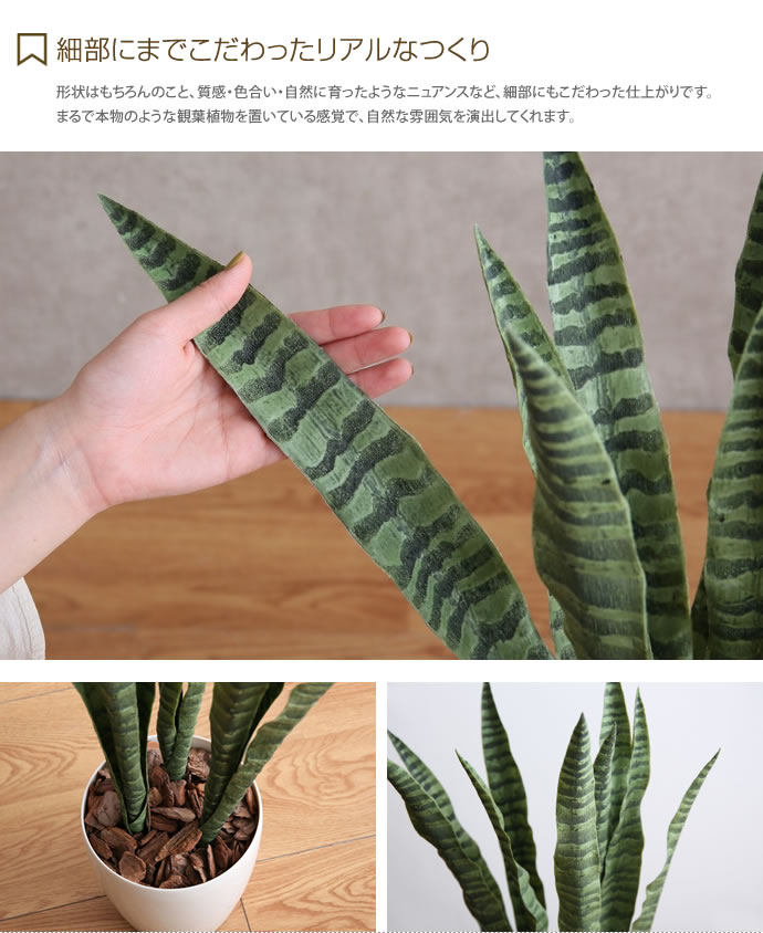 光触媒 人工観葉植物 インテリア 造花 人工植物 お祝い花 ガーデン Diy おしゃれ インテリアグリーン 人工植物 サンセベリア サンスベリア 造花 人工観葉植物 V Cat フェイクグリーン 消臭 抗菌 グリーン お家で過ごす クーポンで15 Off 6 23 24 人工観葉植物