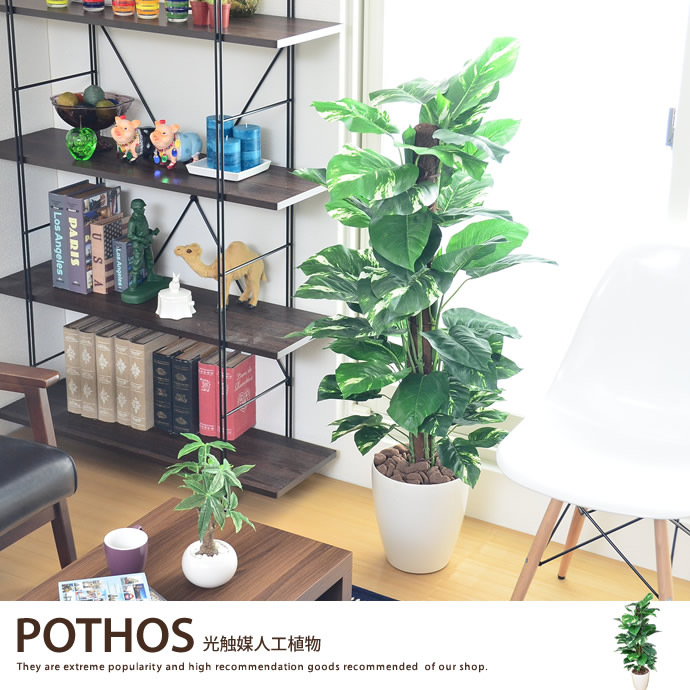 Kagu350 Plant Light Catalyst Artificial Pothos Green Artificial Plants Housewarming Grand Opening Celebrations And Anniversary For Gifts Ideal Accent Office Entrance Hallway Or