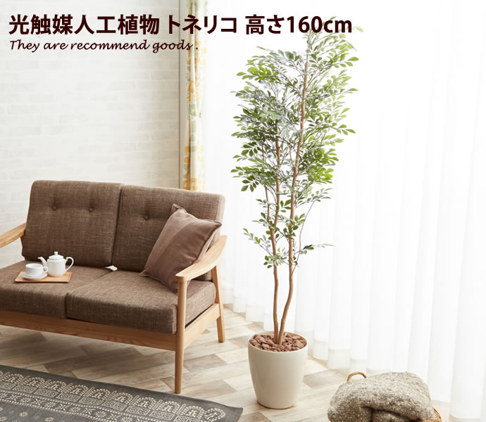 新着品目商品目録