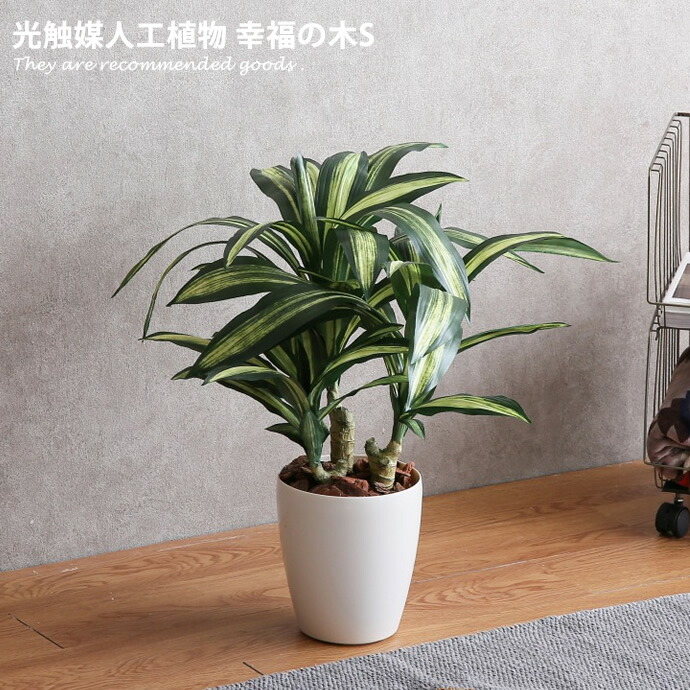 人工植物 フェイクグリーン 人工観葉植物 おしゃれ インテリア 贈り物花 ガーデン Diy インテリアグリーン 人工観葉植物 造花 光触媒 フェイクグリーン 幸福の木 抗菌 お家で過ごす 消臭 V Cat グリーン クーポンで15 Off 6 23 24 人工観葉植物 フェイクグリーン 人工