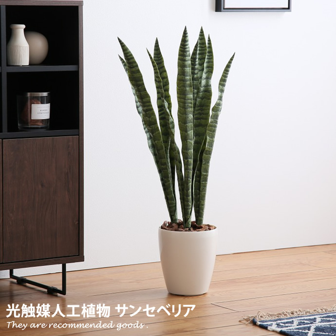 正規品 楽天市場 人工観葉植物 フェイクグリーン 人工植物 光触媒 インテリアグリーン 造花 インテリア おしゃれ サンセベリア サンスベリア 消臭 抗菌 V Cat グリーン お家で過ごす おうち時間 お祝い 家具350 インテリア家具 雑貨 格安 Www Psht Or Id