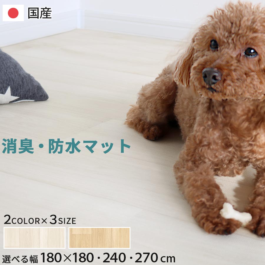 フローリング 犬 猫 180×180/180×240/180×270 糎 愛玩動物引っ敷き ペットラグ 肌理調 床材 引っ敷き 消臭 雨合羽 防滑 上滑り打ち切り 年がしら犬 厄介なもの助け出す 疵ぐち打つ手 思わしい 耐久性 薄型 今めかしい 愛くるしげ 分かりやすい 室内装飾 世話をする引っ敷き 白いこと/ベージュ ETC001734