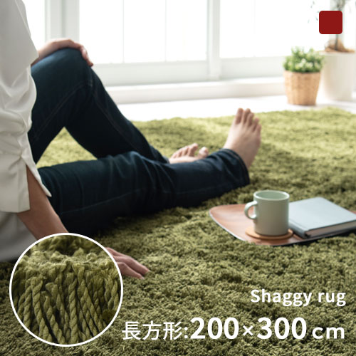 引っ敷き つや消し 引っ敷き 洗える 引っ敷き ウォッシャブル 引っ敷き シャギーマット シャギーカーペット 春夏秋冬用 御膳上等感 今めかしい 立ち会い場つや消し 床暖房装置相応う 熱っぽい引っ敷き相応う 上滑り打ち切り ふかふか 今めかしい 200×300糎 引っ敷き