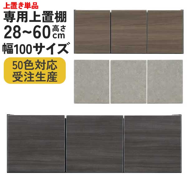前板50色から選べる 専用上置き棚 上置き 棚 収納 開梱設置 受注生産 幅100 高さ28cmから60cm 耐震対策 転倒防止 1cm刻みでオーダー可能
