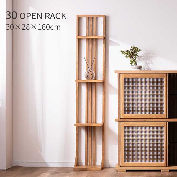 和棚 CP-SVCKAN36U 観音扉19インチマウントサーバーラック