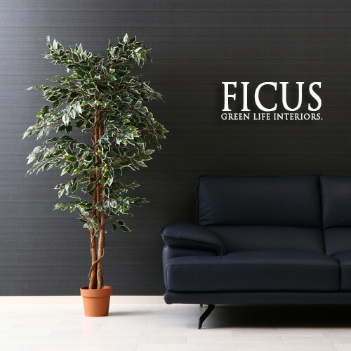 観葉植物 フェイク 170cm B フェイクグリーン ゴムの木 フィカス インテリア 造花 FICUS 植物 大型 人工観葉植物 観葉植物 フェイク B ゴムの木 フィカス 170cm フェイクグリーン