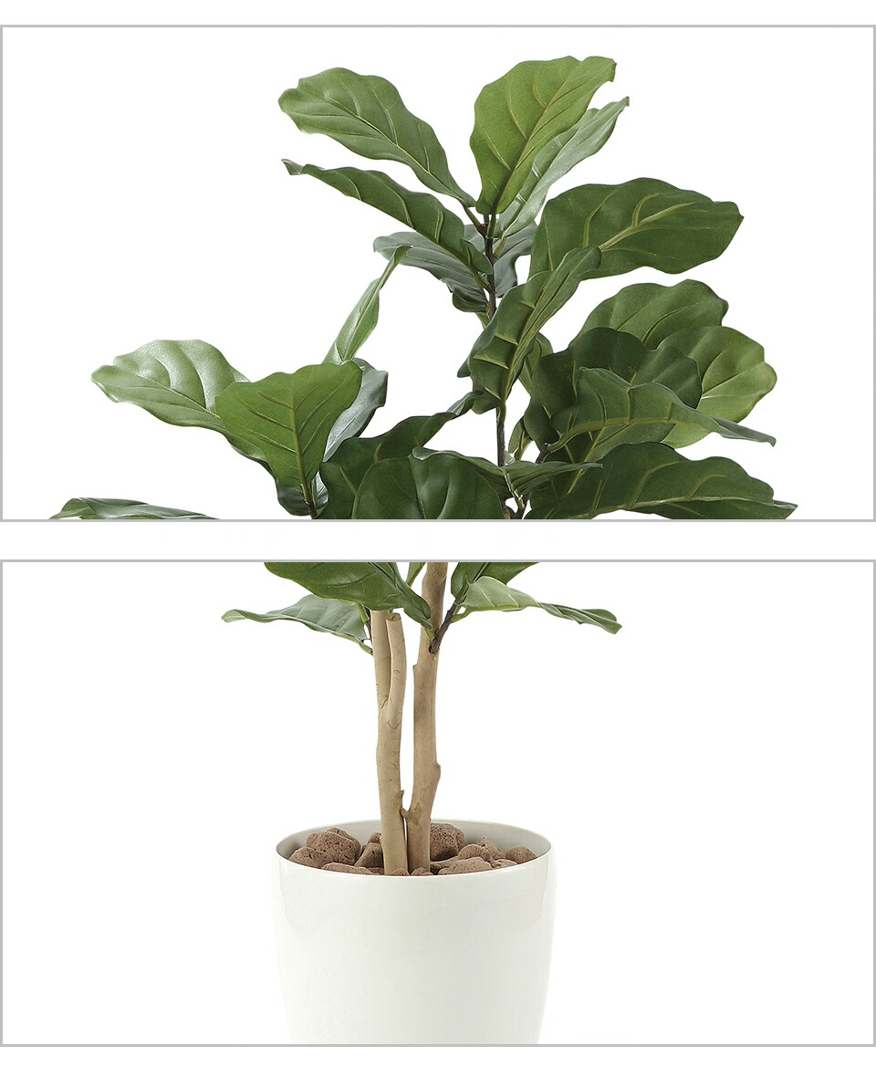 フェイクグリーン 光触媒 圏55cm 光触媒人工観葉草木 御洒落 抗菌 消臭 上り口 観葉植物 造花 光触媒 ニオイを解剖 V Cat 防護具染み ホルムアルデヒド分解バイタリティ もくやペットの 匂対策 寿品等スーヴェニアにもお勧告 メイルオーダー 貨物輸送無料 送料込み