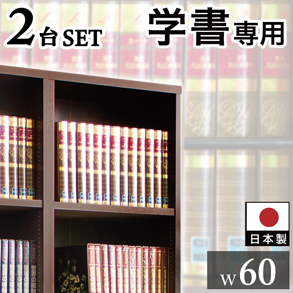 圧密化シェルフ 2台座一組 本棚 郵本棚 強化書棚 領域60 筋シェルフ スタイリッシュ うす暗い赤銅 板厚2 5cm ごっつい 字引き 事典 蔵書 図鑑 専業書 編 刀圭書 ジャーナル 記文 山山 蔵入 調整 たわまない 干城 揺るぎ無い 書 士業 社長家処 応接室 大統領室 書院