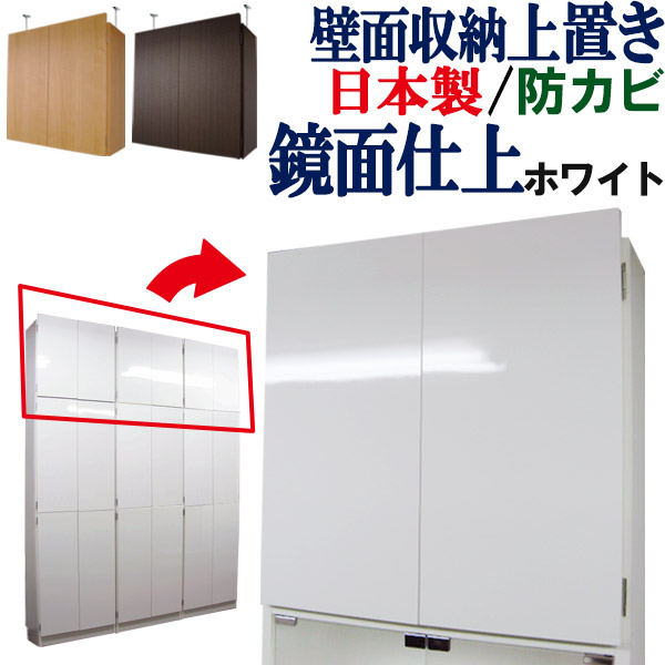 壁面納める 納める庫 薄型 幅60 奥ふかさ24.5 納める棚 書物棚 リビング 昼ご飯 勝手もと納める 食器棚 キッチンストッカー つっぱり 取り片づける棚 ウォール仕合わせ 納める 細長い切口 唐鋤ま か細い 大電気容量 扉付 低ホルマリン 北欧 一般受け 国産 日本製 壁面納める D印字機(上置き)